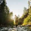 Fly Fishing the Brazos River in New Mexico 