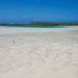 bonefish flat - long island - bahamas