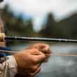 sage r8 core fly rod