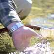 alberta cutthroat trout