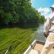 smallmouth bass fly fishing