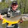 fly fishing yukon lake trout