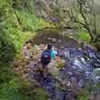 trout fishing aberdares national park