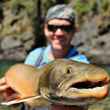 canada bc bull trout