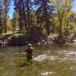 gunnison river fly fishing colorado