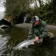 Winter Steelhead