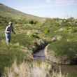 Little Mountain Wyoming Fly Fishing