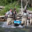 Fisheries biologists on Soda Butte Creek