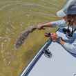 Alabama redfish release