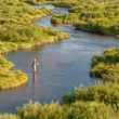 south fork madison river