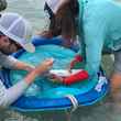 sampling bonefish research study