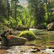 Dry Fly Casting