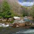 Williams River, West Virginia