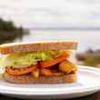 canada north woods fishing shore lunch