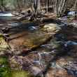 headwater trout stream