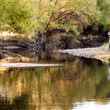 Collin cura river fly fishing