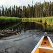 Boundary Waters fly fishing