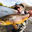 patagonia brown trout