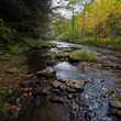 autumn fly fishing