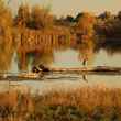 autumn on the snake river idaho