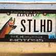 steelhead STLHD license plate