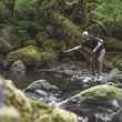 small creek fly fishing