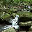 PA Wild Trout Stream