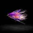 purple intruder fly
