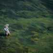 Yvon Chouinard fly fishing henry's fork river