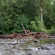 Logjam on the Salmon River, OR 