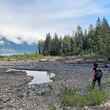 sampling invertebrates alaska