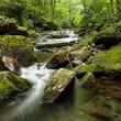 PA Wild Trout Stream