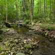 Pennsylvania Brook Trout Stream (photo: Chad Shmukler)