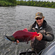 Bristol Bay Sockeye Salmon