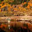 West Carson River, CA