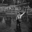 The School of Trout