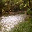 Small Stream Fly Fishing