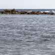 Belize Tailing Bonefish