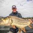 tigerfish | africa | fly fishing