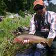 yellowstone cutthroat