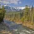 Trinity River in California