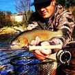 Shadow Fly Fishing Warrior Fly Rod