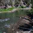 Yellowstone's Lamar River