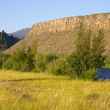 Palisades Campsite - Madison River