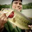 Largemouth Bass