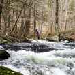 Private trout stream connecticut