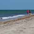 Pogue Beach Martha's Vineyard