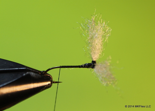 Tying the Fatal Attractor Fly - Step 4
