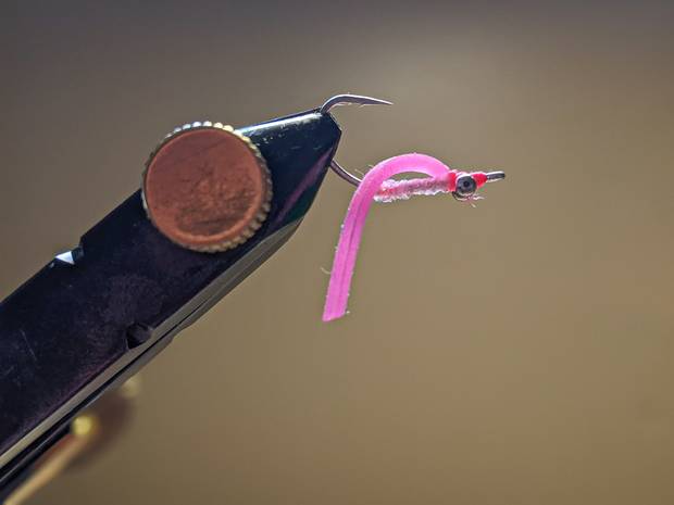 Photo: Chris Hunt boney worm fly