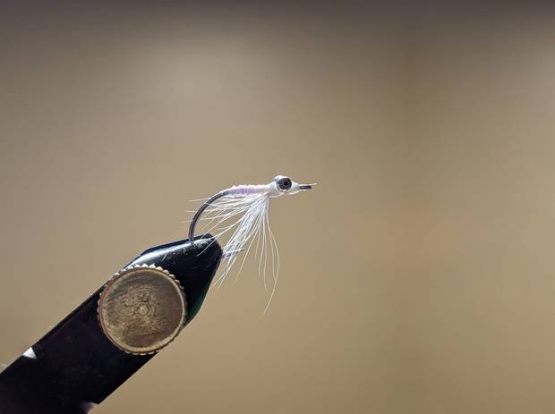 Photo: Chris Hunt crazy charlie fly